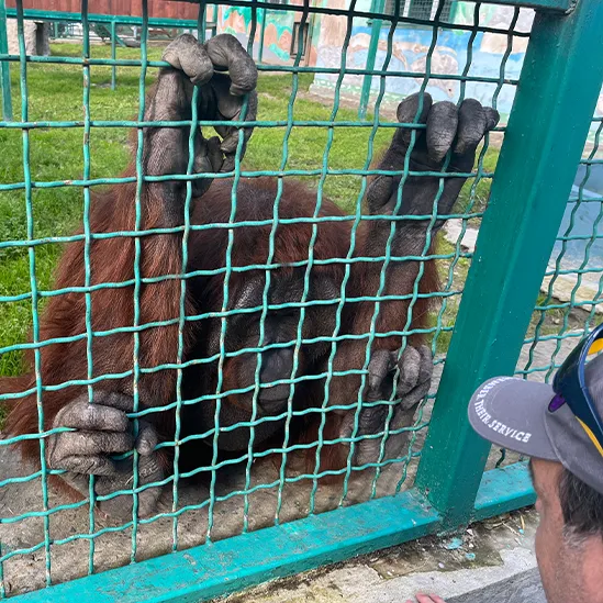 1st Battalion, Royal Australian Regiment